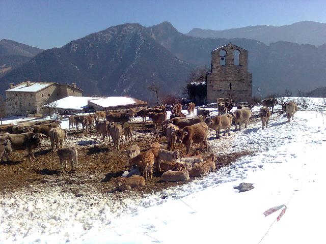 Sant Climent de Torrefoix faç