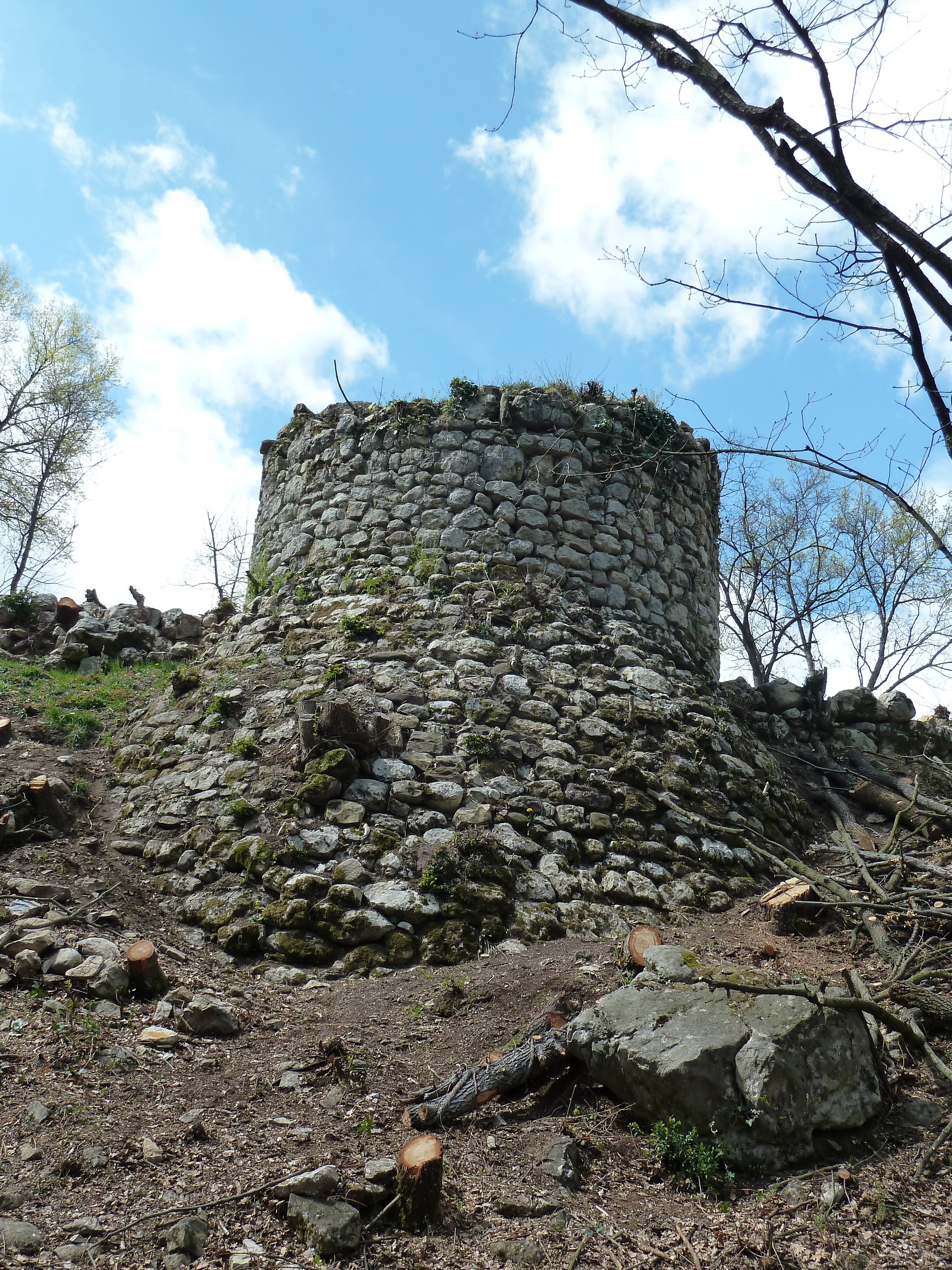 Castell de Guardiola 